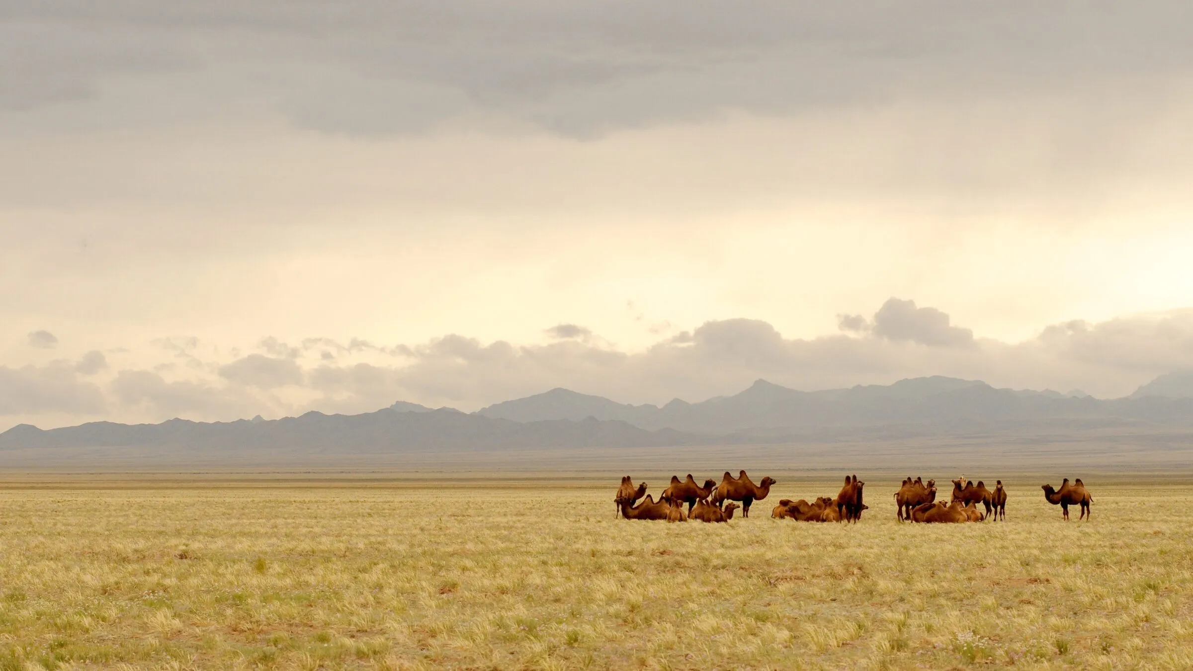 Gobi: Singing dunes, flaming cliffs, dinosaur fossils