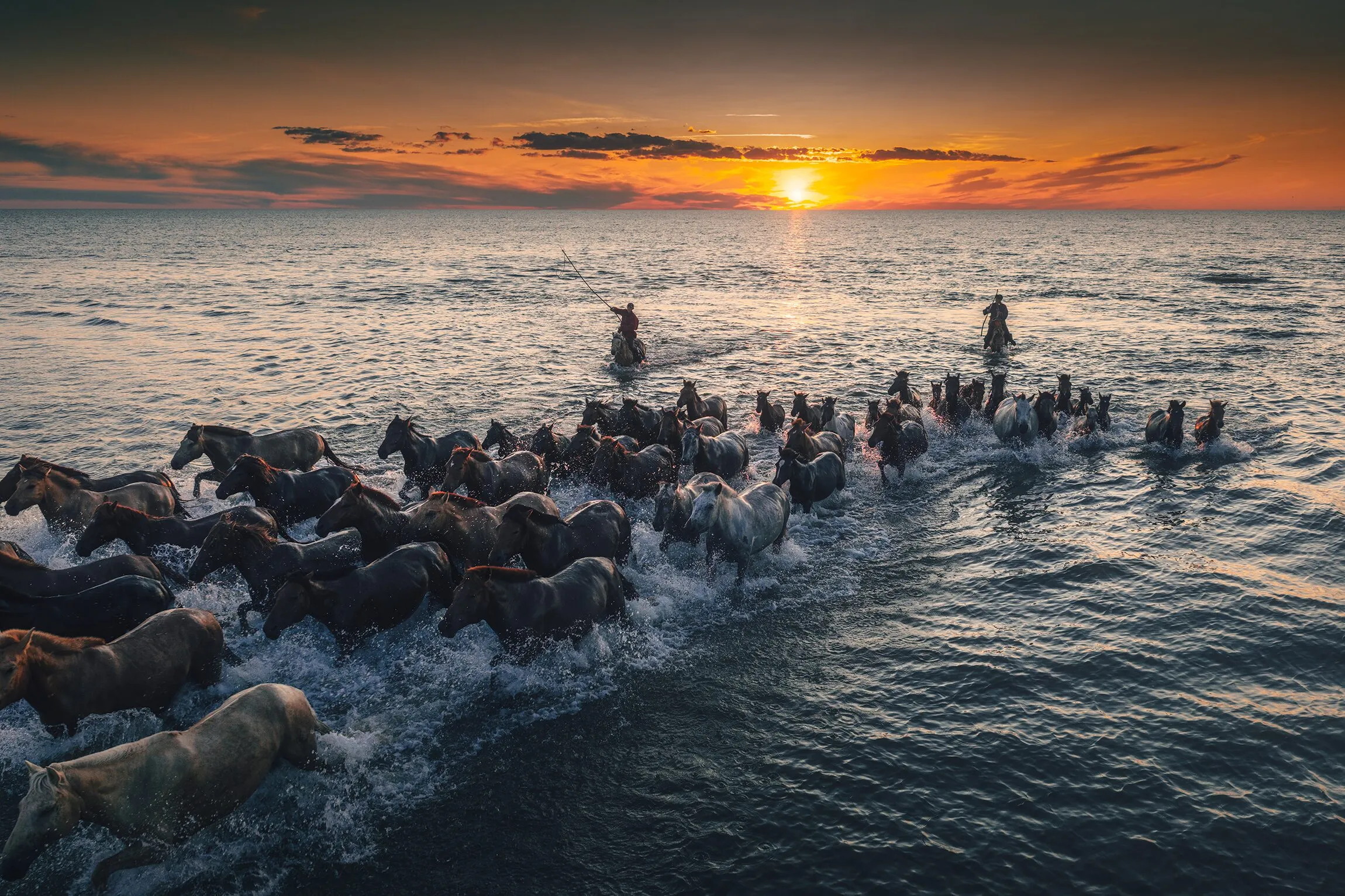 Herders driving a herd of horses across the open steppe at sunset, the discipline at the heart of Naadam's horse races.